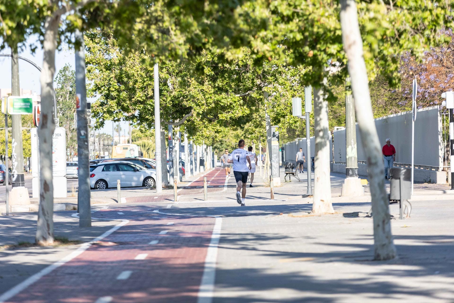 Medio Marat贸n Trinidad Alfonso Zurich 2026