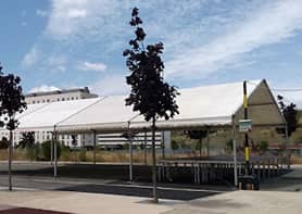 Carpa de Erripagaña