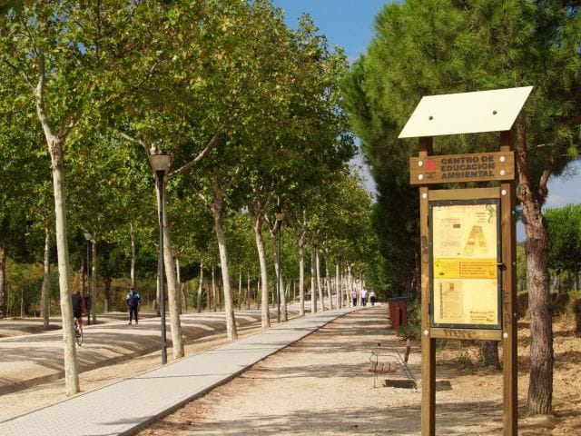 Refugios climáticos – descubriendo el pinar