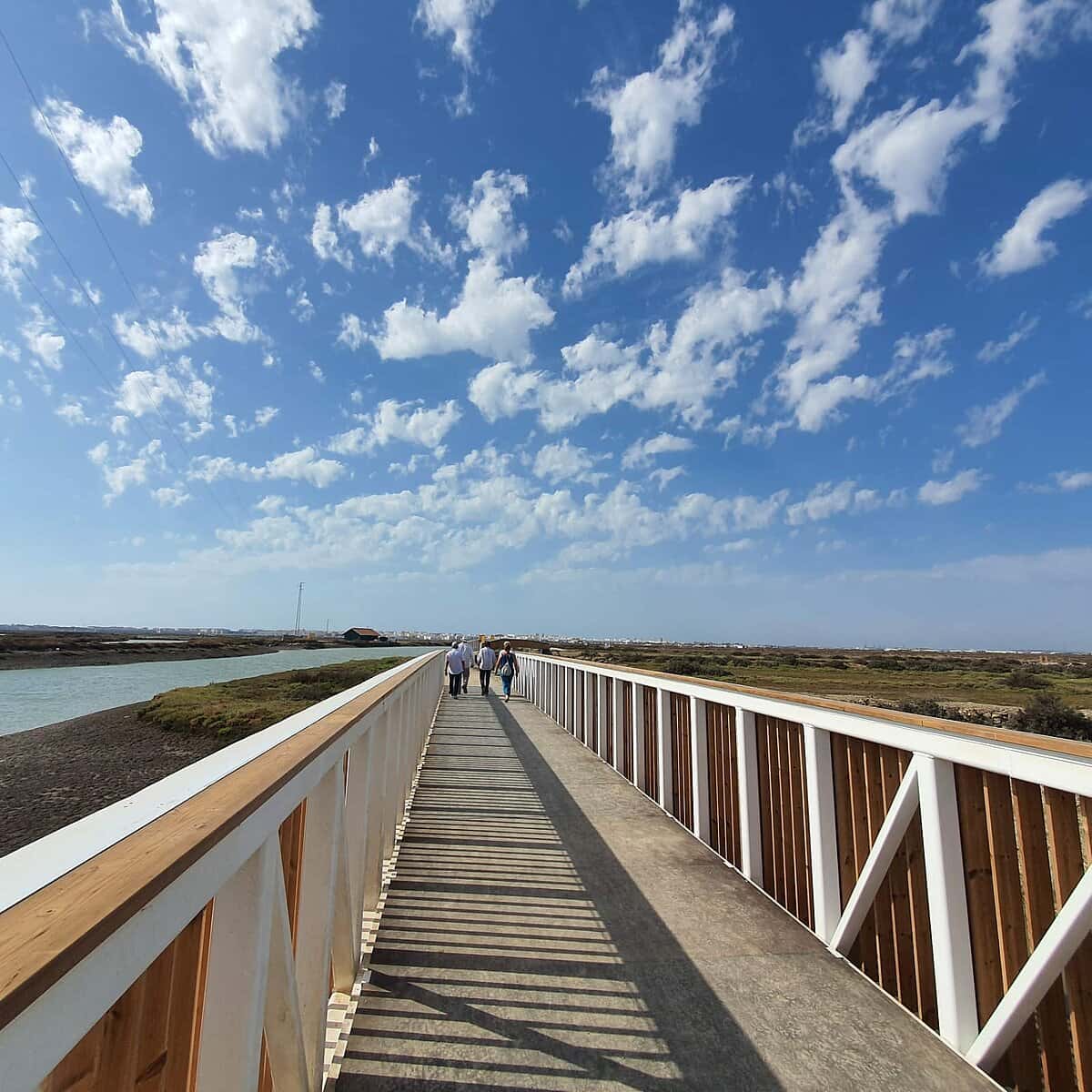 Ruta nocturna interpretada San Fernando-Chiclana