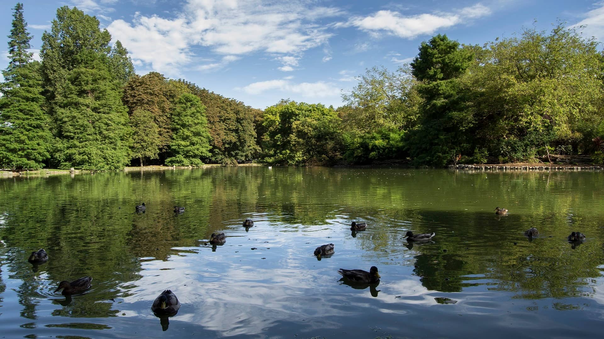 Parque de Isabel la Católica