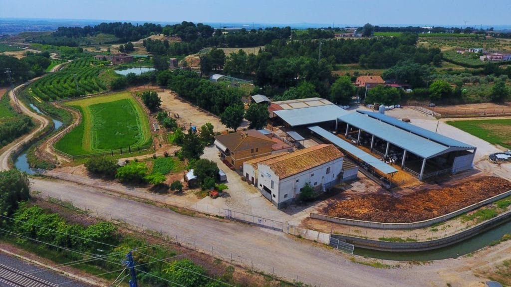 Taller de Conserva de Tomate en la Huerta