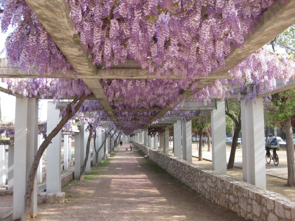 Parc de Ponent