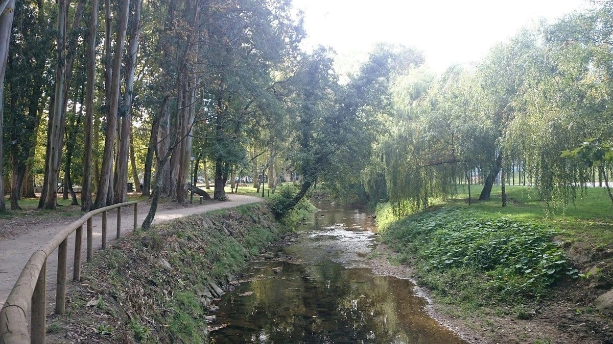CĂrculo de lectura