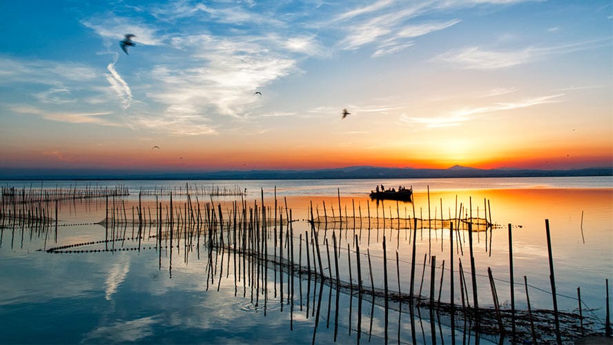 Exhibiciones de vela latina en l’Albufera